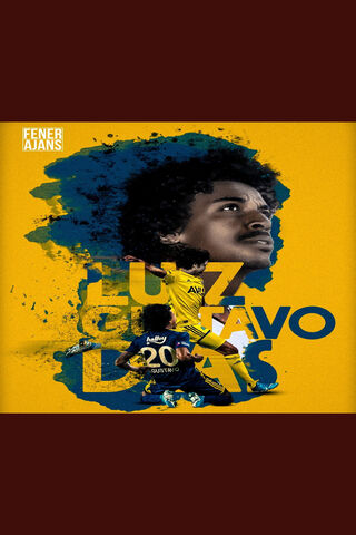 Luiz Gustavo: The Heart of Fenerbahçe 💛💙