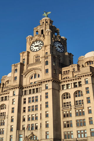 The Majestic Liverbird: Guardian of Liverpool