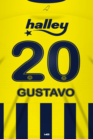 The Spirit of Luiz Gustavo: A Champion's Jersey