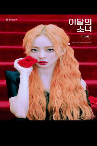 Loona ViVi: The Enigmatic Rose