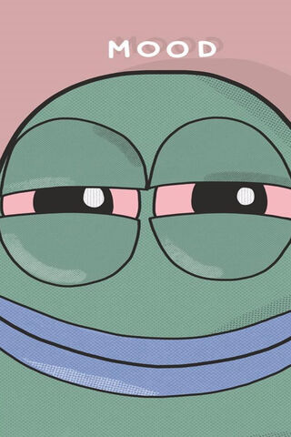 Chillin' Vibes 😌✨