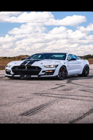 Unleashing Power: The Mustang Shelby GT500 🏎️💨