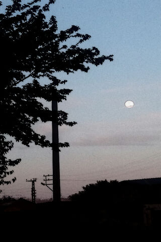 Moonlit Serenity: A Tranquil Evening View 🌙🌳