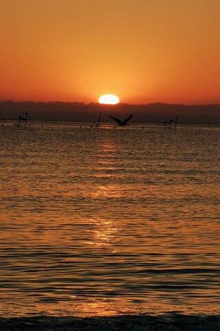 Sunset Serenity Over the Black Sea 🌅