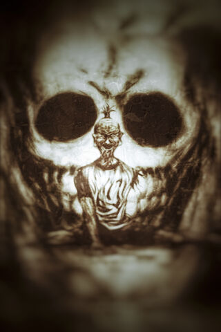 The Guardian of Shadows: Netero's Legacy 🖤✨