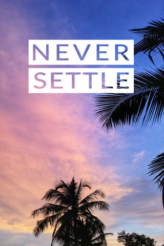 Embrace the Horizon 🌅