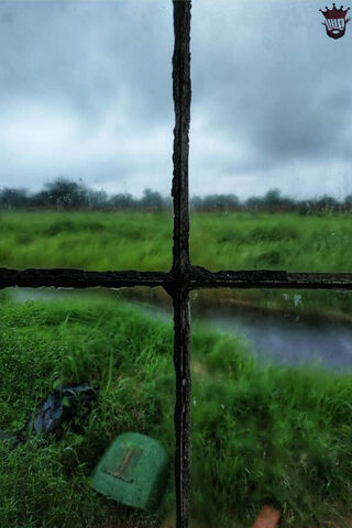 Whispers of Nature: A Rainy Day View 🌧️🌿