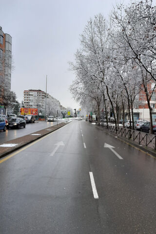 Nieve: A Winter's Embrace ❄️🌨️