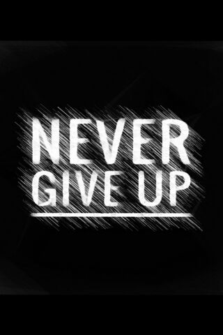 Never Give Up. Never