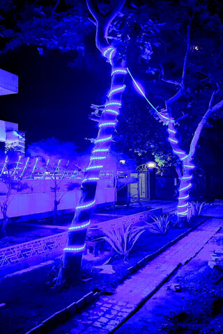 Electric Dreams: Neon Glow in the City 🌌✨