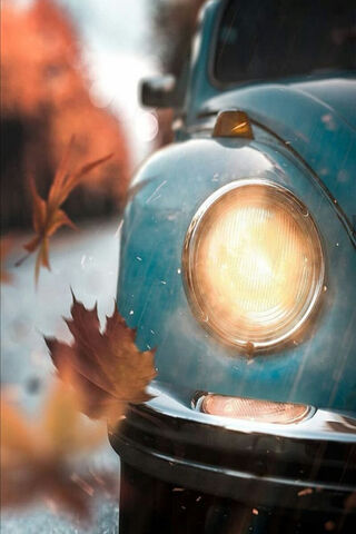 Autumn Whispers: A Journey Through Otono 🍂🚗