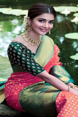 Elegance in Tradition: A Celebration of Indian Heritage