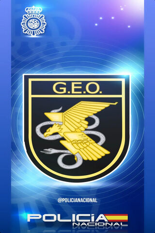 Guardians of Safety: The GEO Emblem