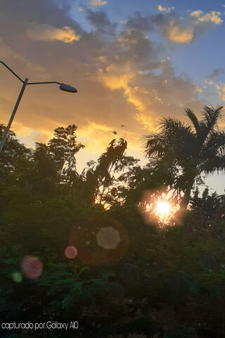 Twilight Serenity: A Dance of Colors 🌅✨