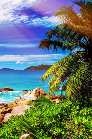 Tropical Bliss: A Slice of Paradise 🌴🌊