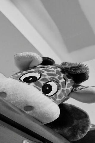 Giraffe Dreams: A Cozy Companion 🦒✨