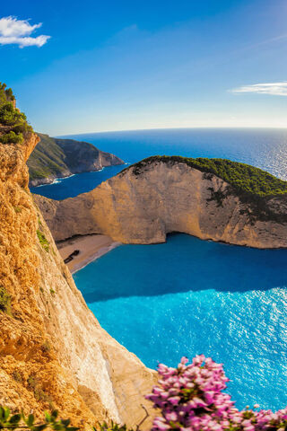 Tranquil Shores: Nature's Embrace 🌊🌺