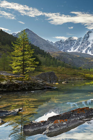 Serenity in Nature: A Tranquil Landscape