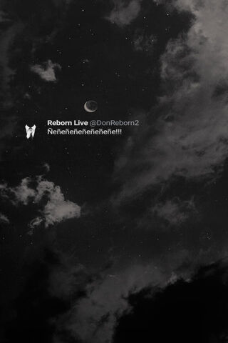 Awakening in the Night 🌙✨