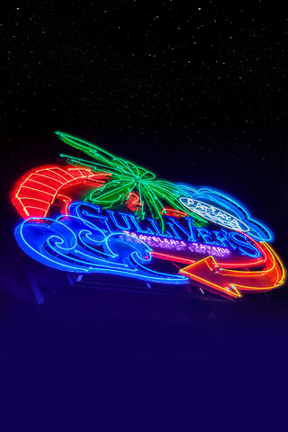 Neon Dreams: A Vibrant Escape 🌴✨