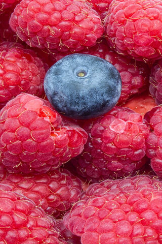 Berry Bliss: A Colorful Medley 🍓💙