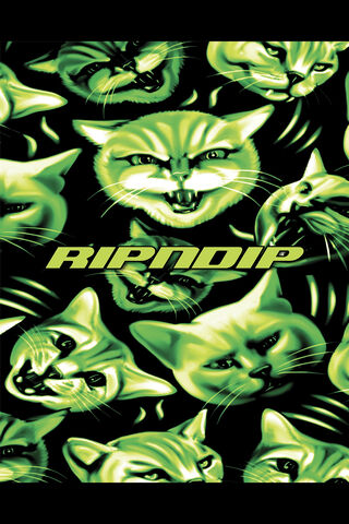 Glow of the Cat Kingdom: Ripndip Vibes 🐱✨