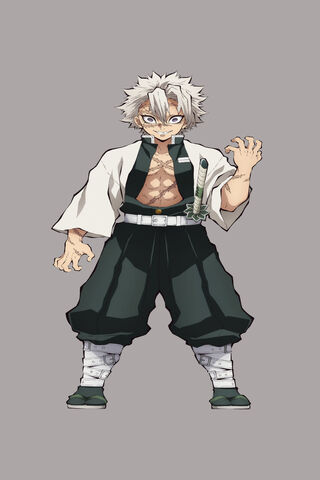 Shinazugawa: The Fierce Demon Slayer 🗡️✨