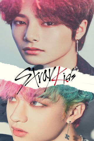 Dynamic Duo: SKZ IN & Chan V3 🌟