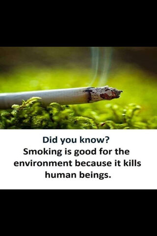 The Dark Side of Smoke: A Shocking Truth