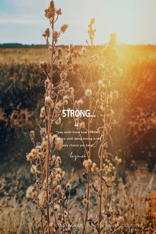 The Resilience of Nature 🌾✨