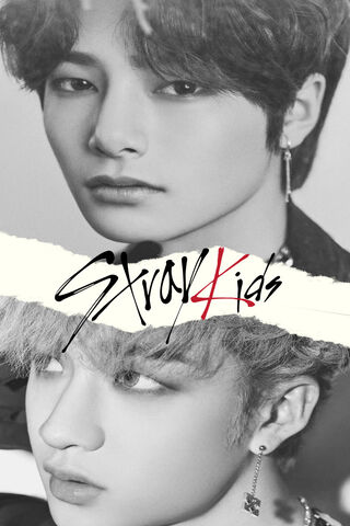 Stray Kids: The Dynamic Duo Unveiled! 🎤✨