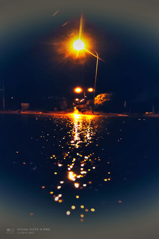 Glistening Streets Under the Streetlight Glow 🌙✨