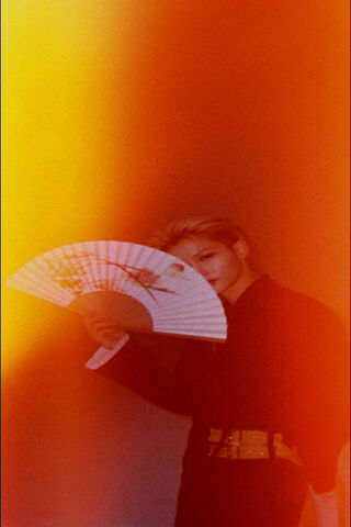 Felix's Enigmatic Elegance 🌟