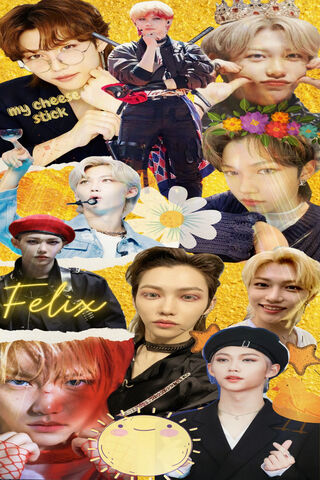Felix's Colorful World 🌟