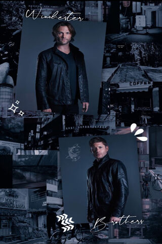 Brothers in Darkness: The Winchesters' Legacy