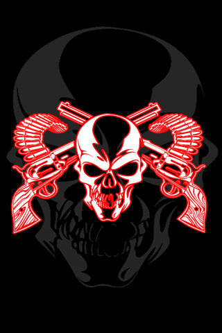 Skull And Guns