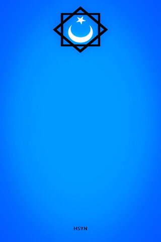 Celestial Emblem of the Seljuk Era 🌙✨