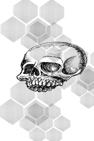 Eternal Echoes: The Art of Skull Life 💀✨