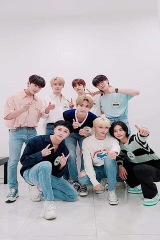 Stray Kids: The Dynamic K-Pop Collective! 🎶✨