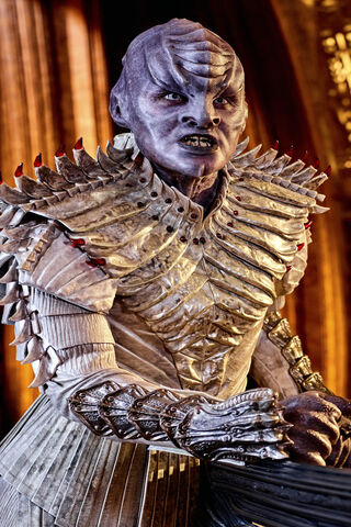 The Fearsome Klingon Warrior