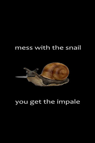 The Snail's Sharp Warning! 🐌⚔️