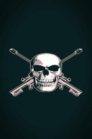 Deadly Emblem: The Skull-Cross Rifles