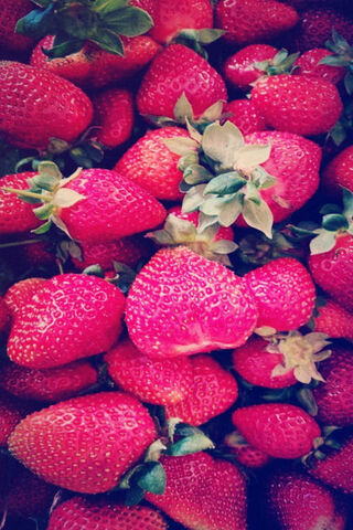 Sweet Summer Delight 🍓