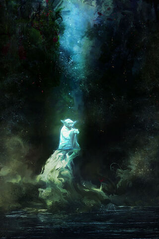 Wisdom in the Shadows: Yoda's Reflection