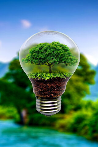 Nature's Light: The Tariq Collection