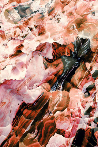 Tariq Collection: Whispers of Nature