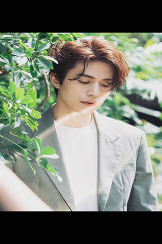 Whispers of the Forest: A Tale of Enchantment 🌿✨