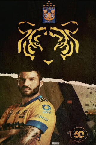 Roaring into Glory: Tigres UANL's 50th Anniversary Celebration! 🐯🎉