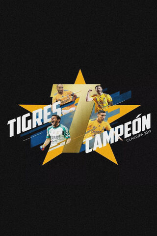Tigres UANL: Champions of 2019! 🏆✨