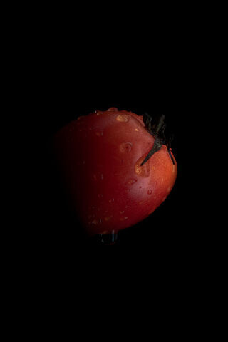 The Juicy Marvel: Tomato Delight 🍅✨